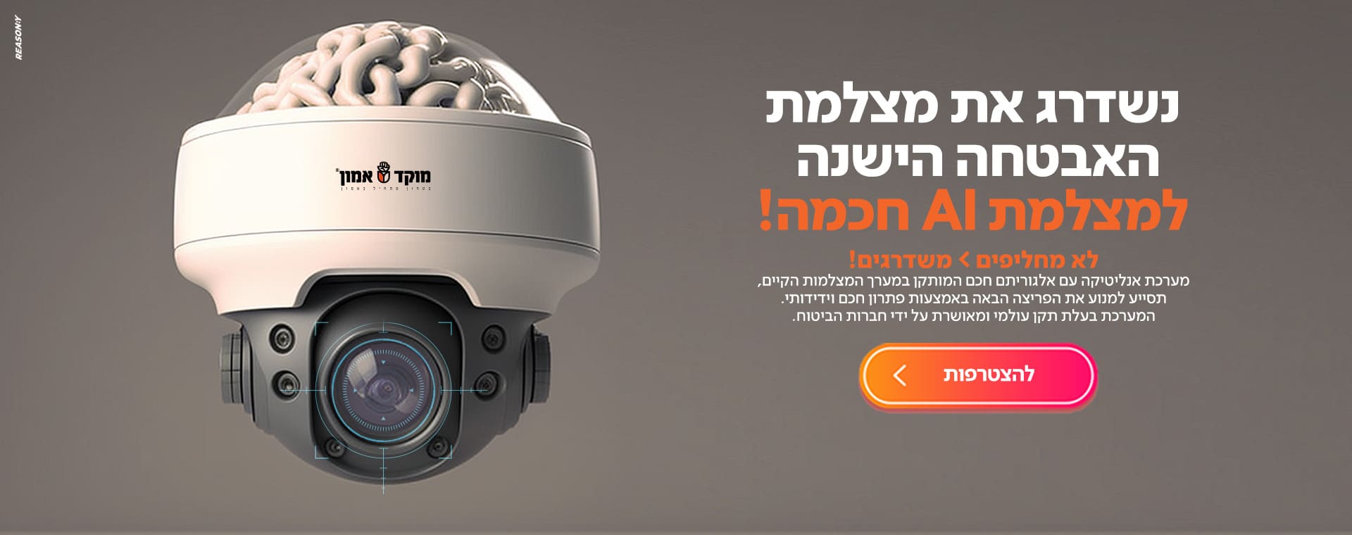 תמונת באנר